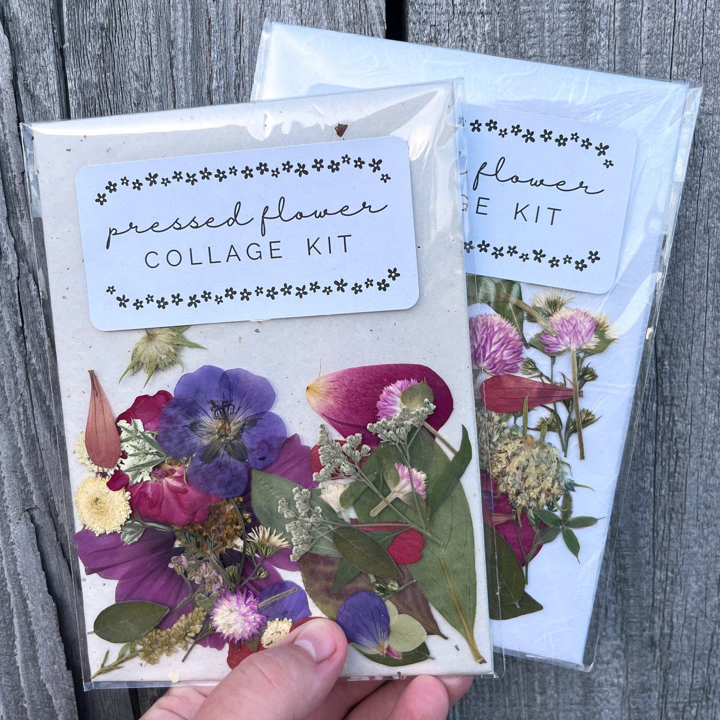 Pressed Flower Collage Kit