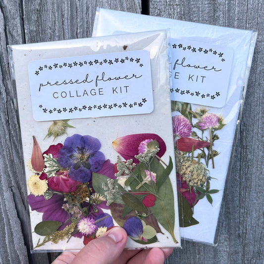 Pressed Flower Collage Kit